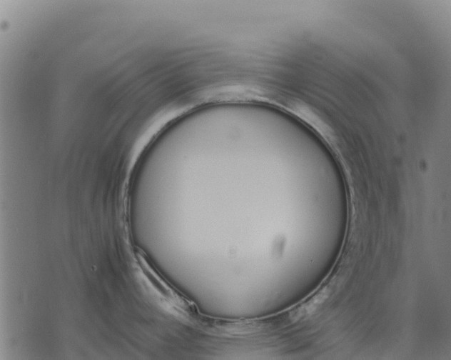 X0000070381392200606231701