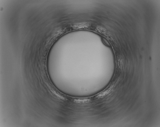 X0000070381393200606231700