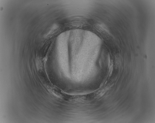 X0000070381394200606231700