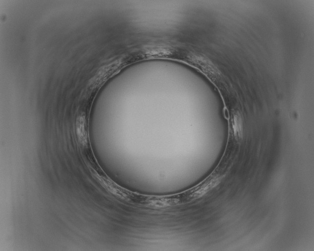 X0000070381396200606231700