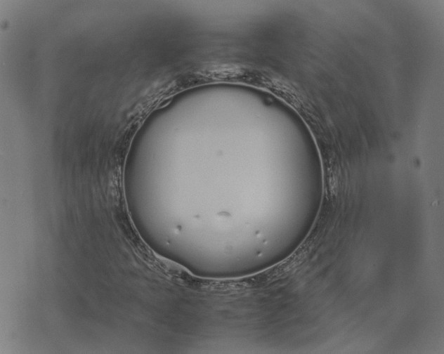 X0000070381397200606231700