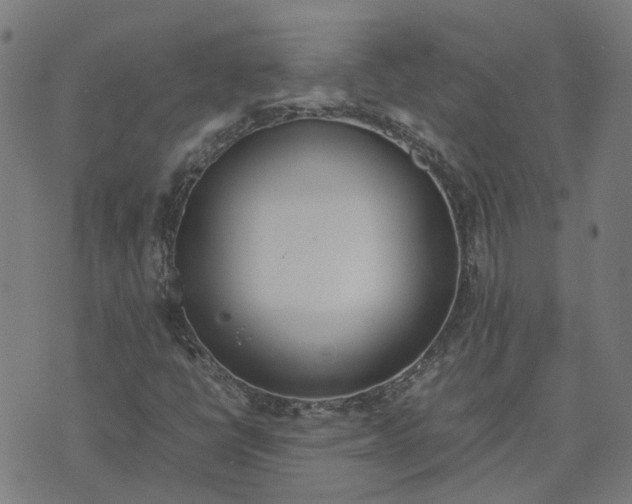 X0000070381398200606231700