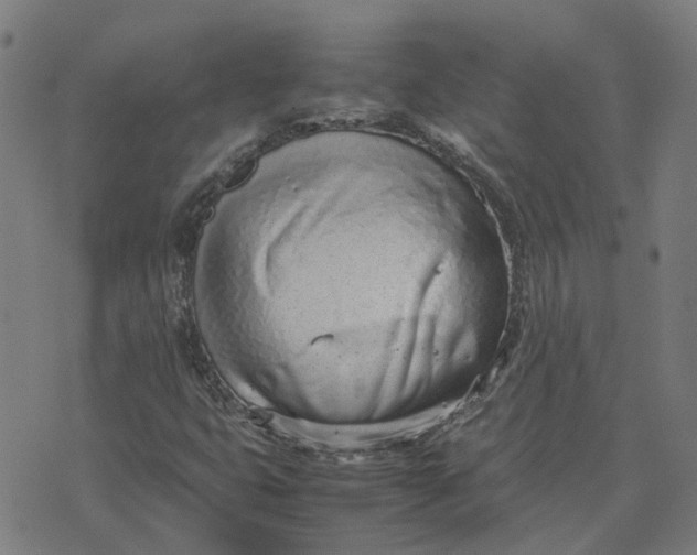 X0000070381399200606231700