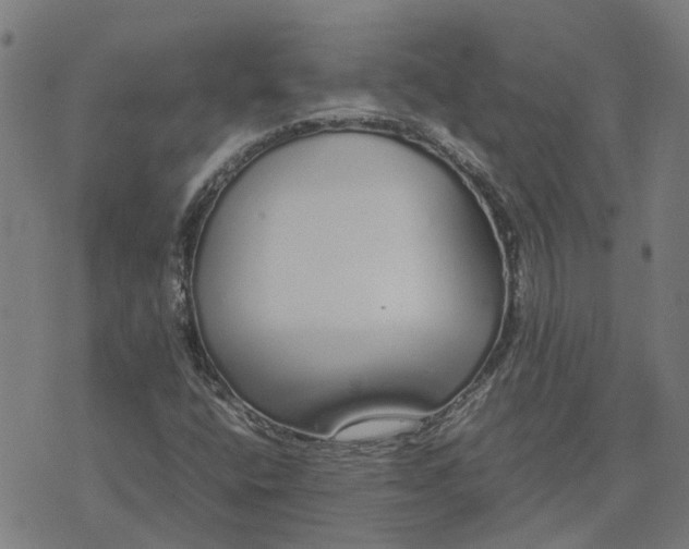 X0000070381400200606231700