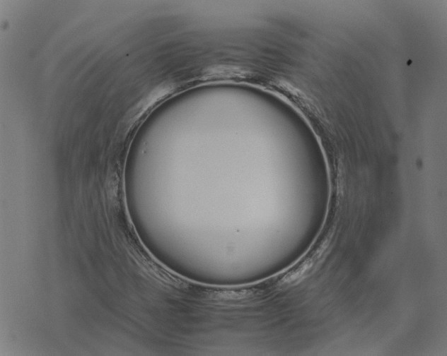 X0000070381401200606231701