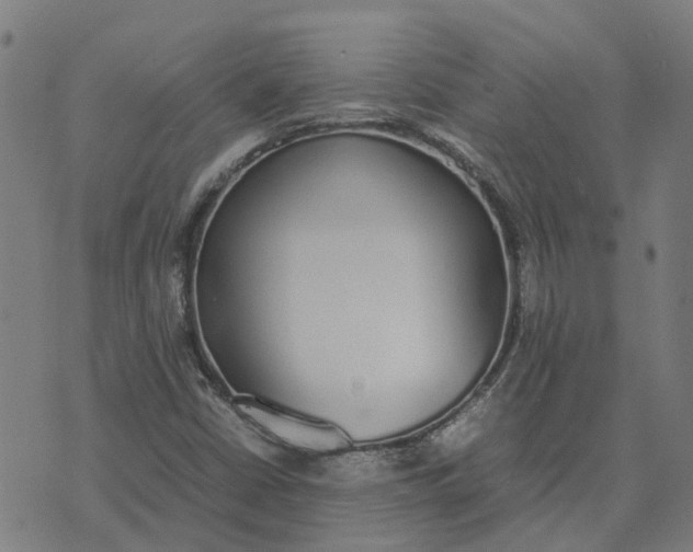 X0000070381402200606231701