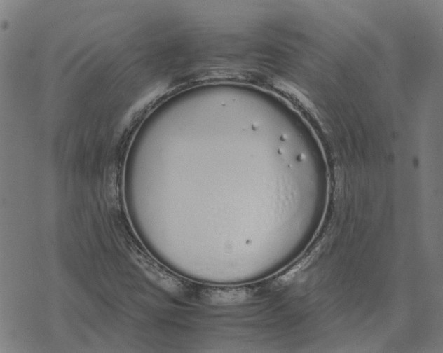 X0000070381403200606231701