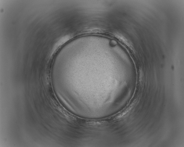 X0000070381405200606231701