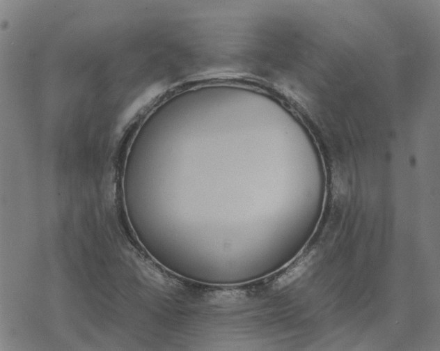 X0000070381406200606231701