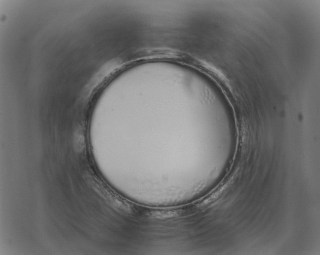 X0000070381407200606231701