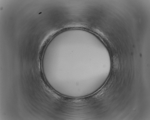 X0000070381408200606231701