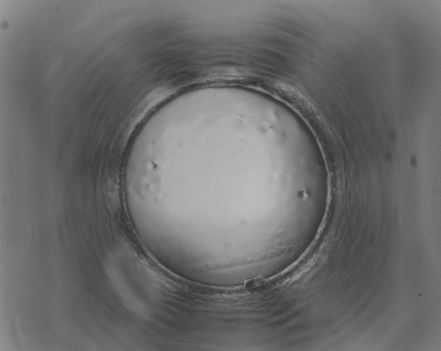 X0000070381409200606231701