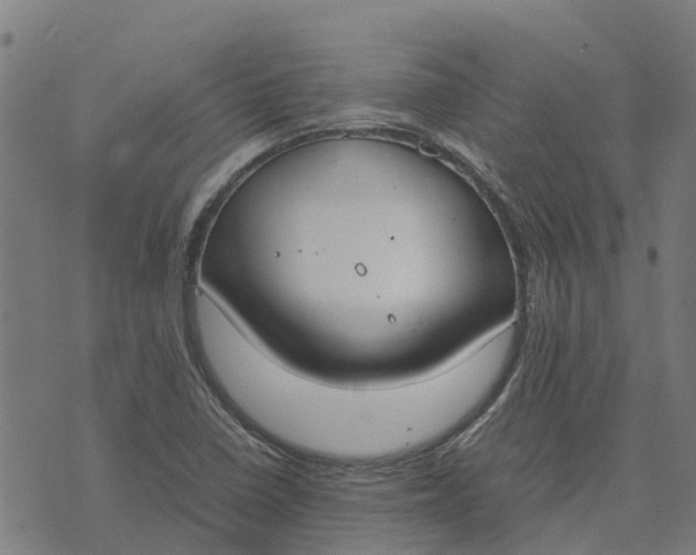 X0000070381410200606231701