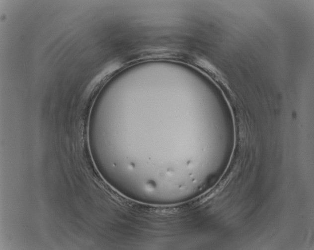 X0000070381411200606231701