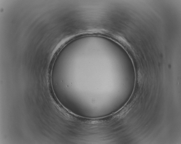 X0000070381412200606231701