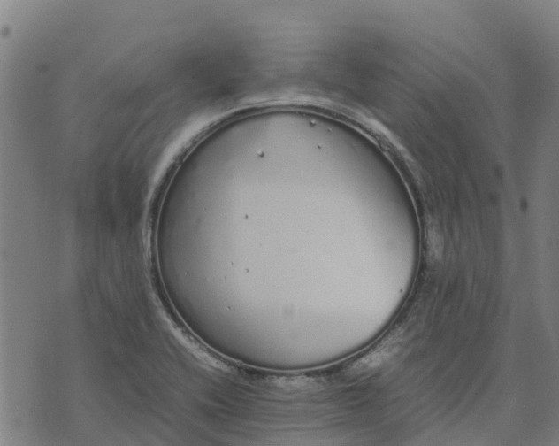 X0000070381416200606231701