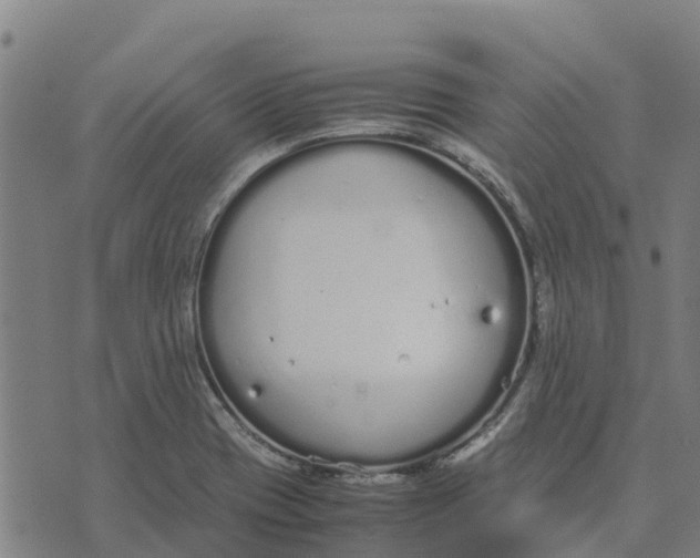 X0000070381417200606231701