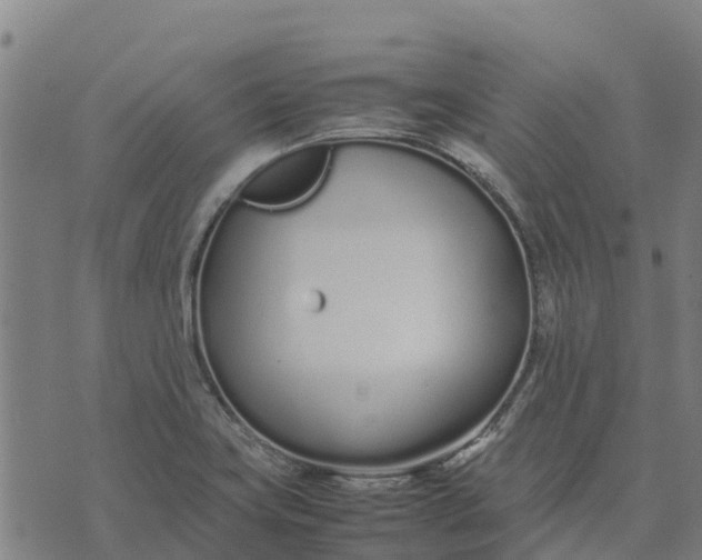 X0000070381419200606231701