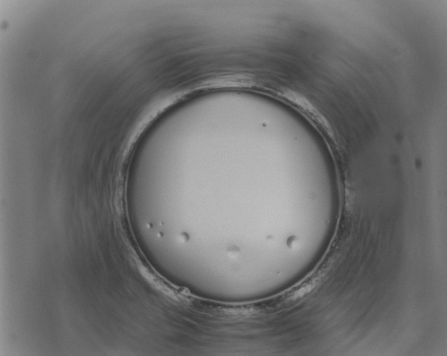 X0000070381421200606231701