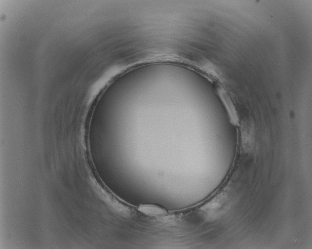 X0000070381422200606231701