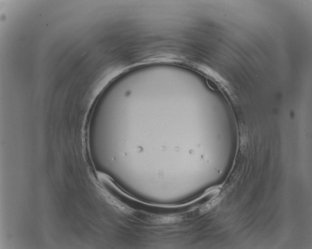 X0000070381423200606231701