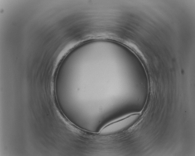 X0000070381424200606231701