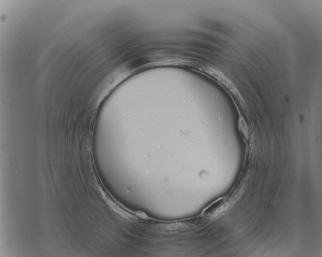 X0000070381425200606231701