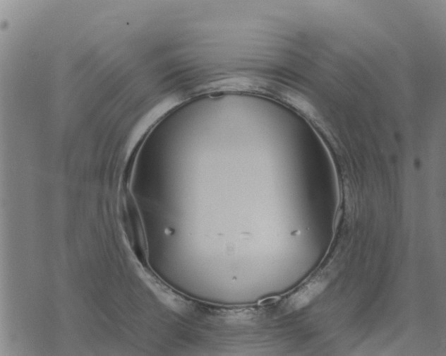 X0000070381426200606231701