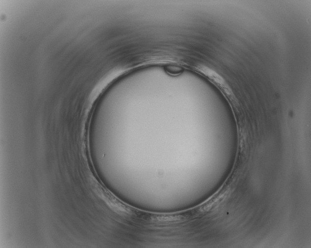 X0000070381427200606231701