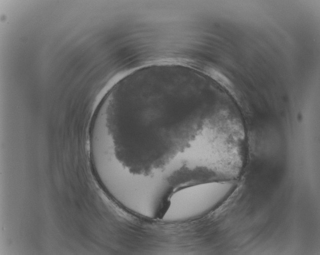 X0000070381428200606231701