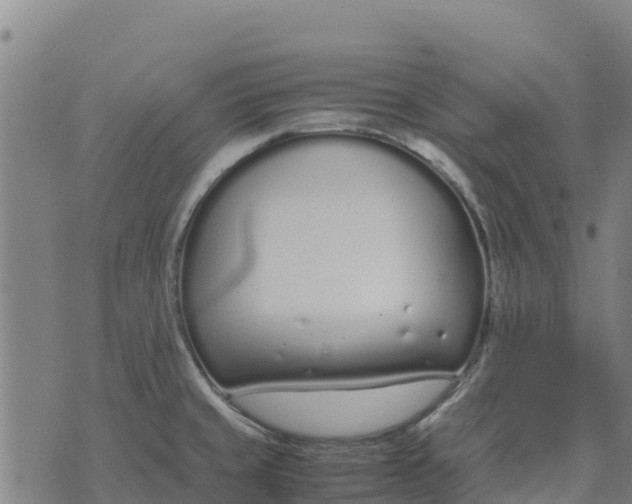 X0000070381429200606231701