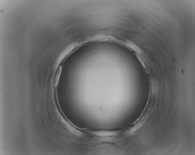 X0000070381430200606231701