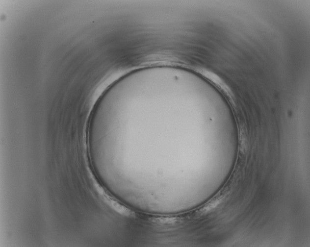 X0000070381431200606231701