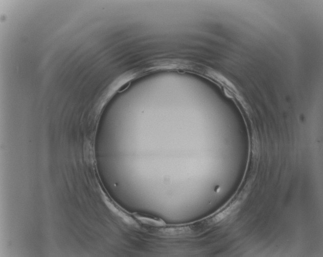 X0000070381433200606231701