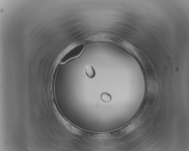 X0000070381434200606231701