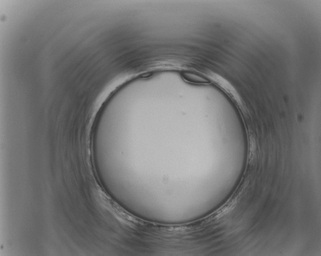 X0000070381435200606231701