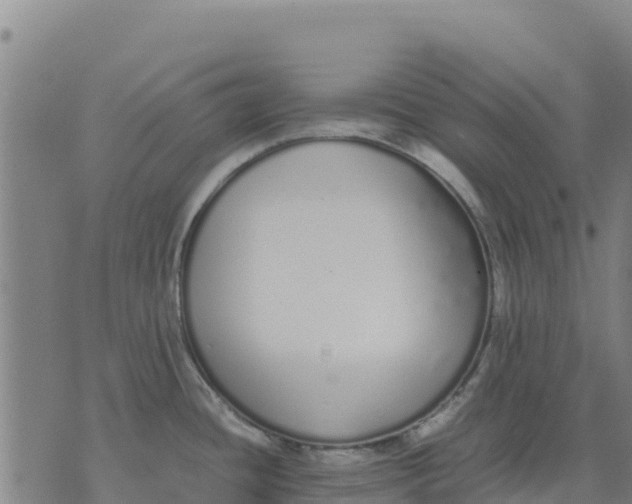 X0000070381436200606231701