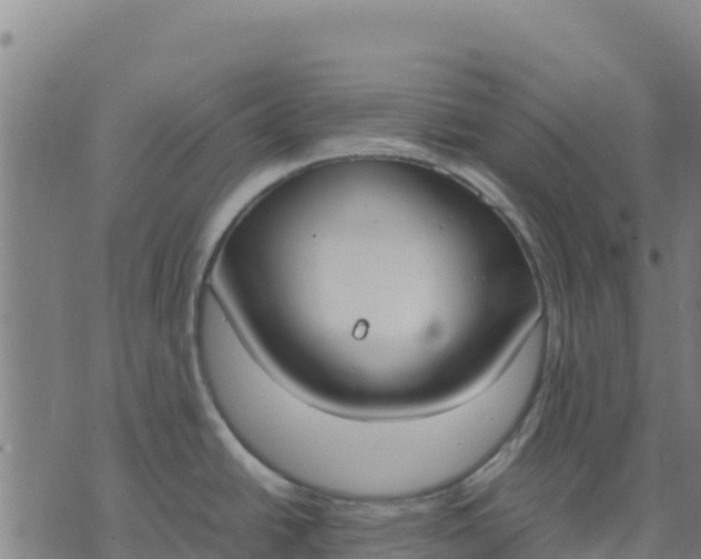 X0000070381438200606231701