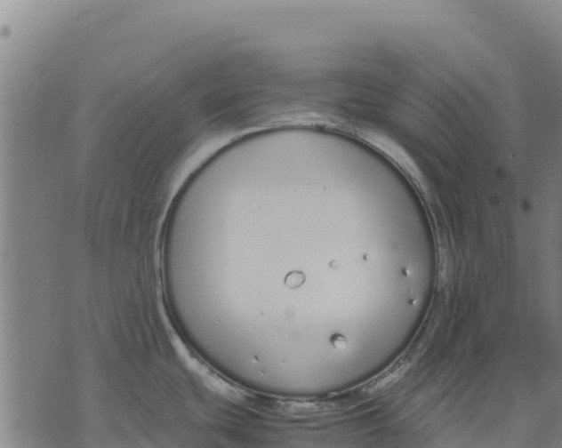 X0000070381439200606231701