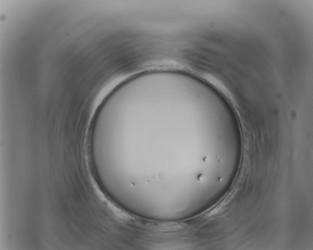 X0000070381440200606231701