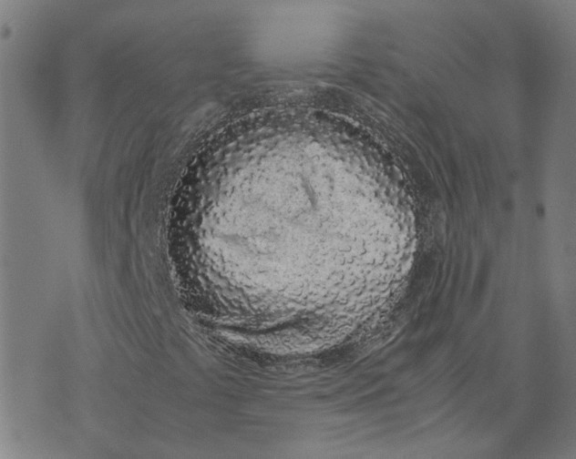 X0000070381441200606231700