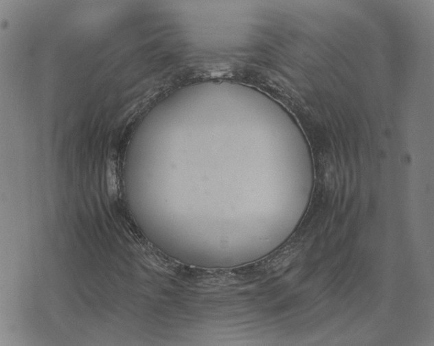 X0000070381442200606231700