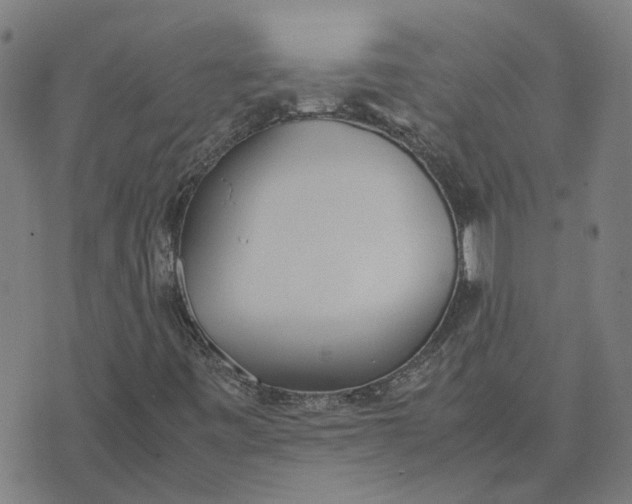 X0000070381443200606231700