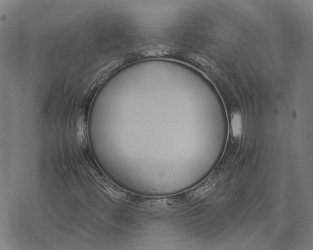 X0000070381444200606231700