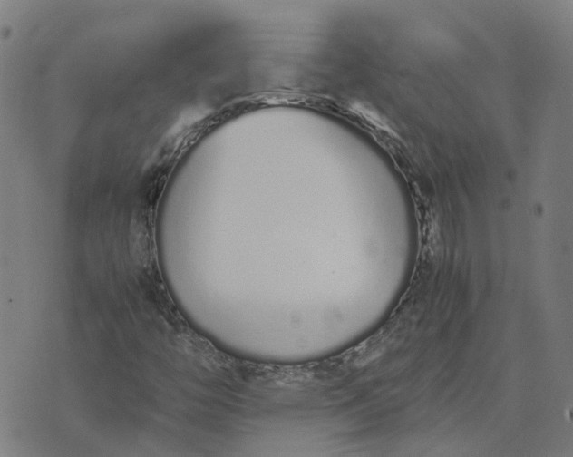 X0000070381446200606231700