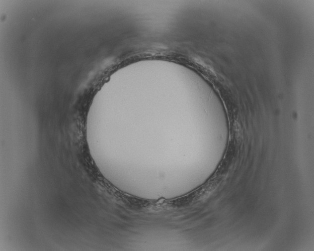 X0000070381447200606231700