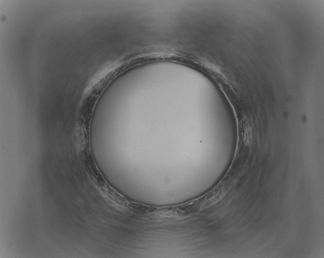 X0000070381448200606231700