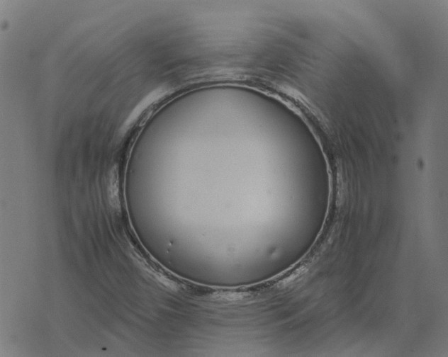 X0000070381450200606231700