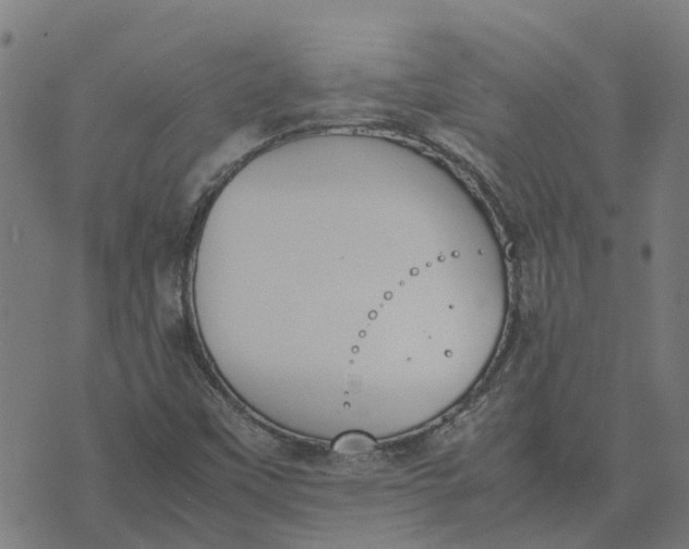 X0000070381451200606231700