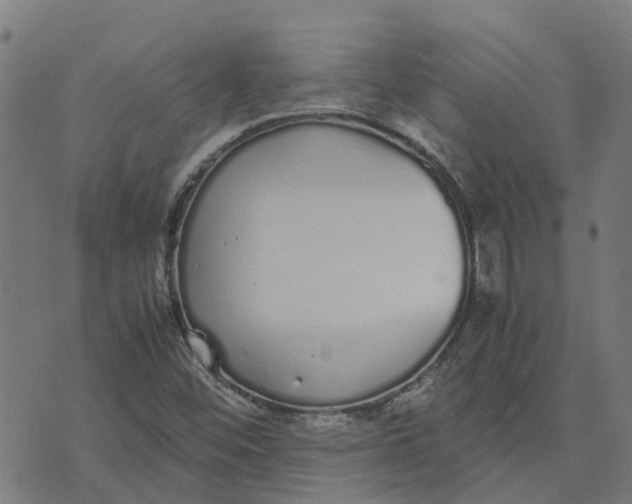 X0000070381452200606231700